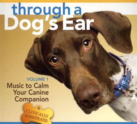 Magic Ear: The Ultimate Solution for RV Noise Control